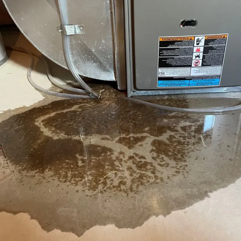 Pipe Burst and Leak Restoration in Arlington Heights, PA